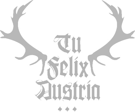 TU Felix Austria