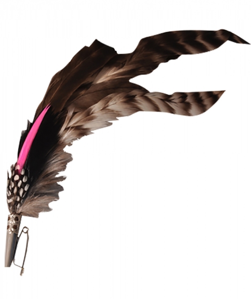 Hutfeder braun/pink lang